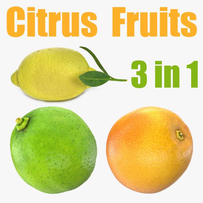 Citrus Fruits Collection 3D model