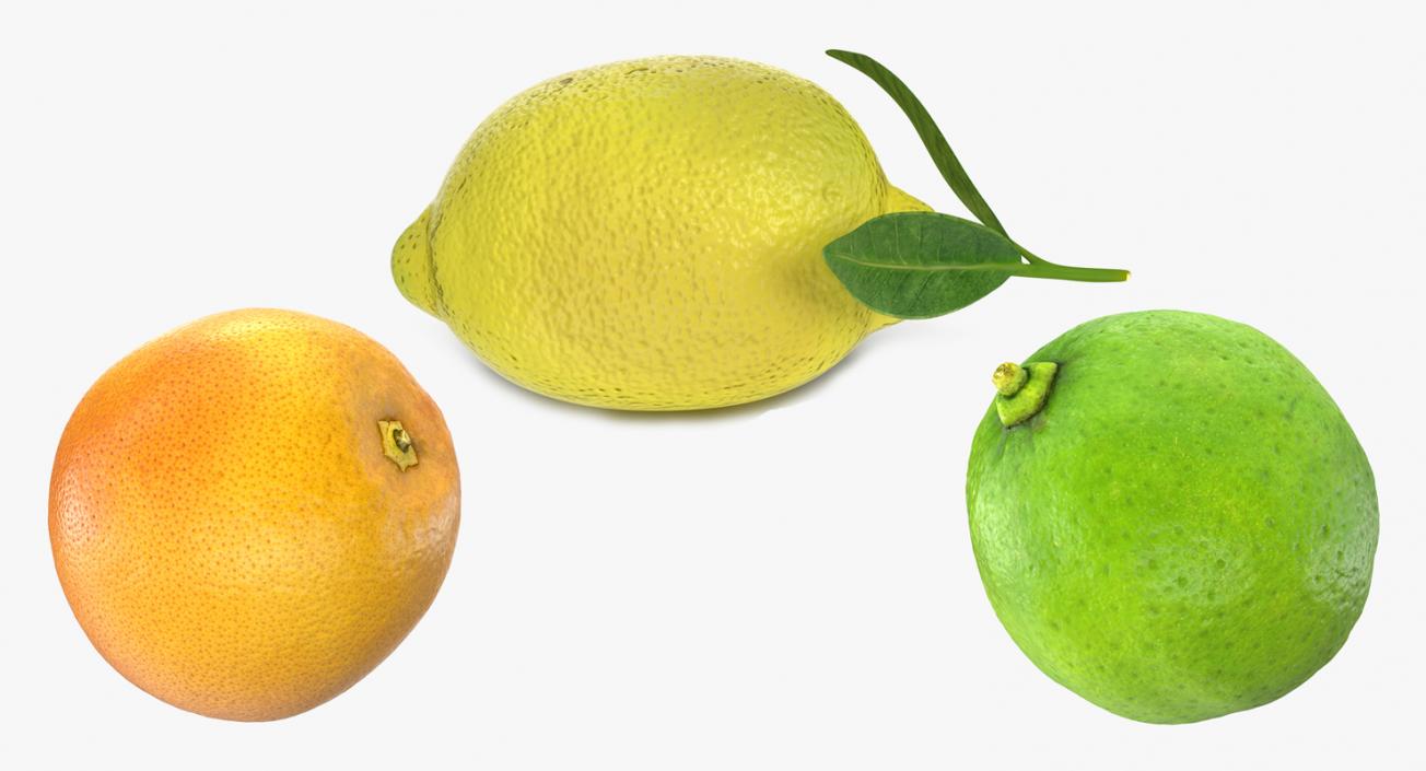 Citrus Fruits Collection 3D model