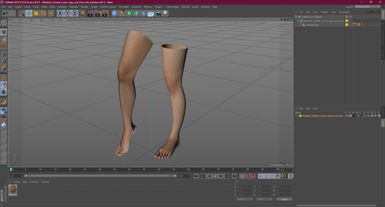 3D Realistic Female Lower Legs and Feet