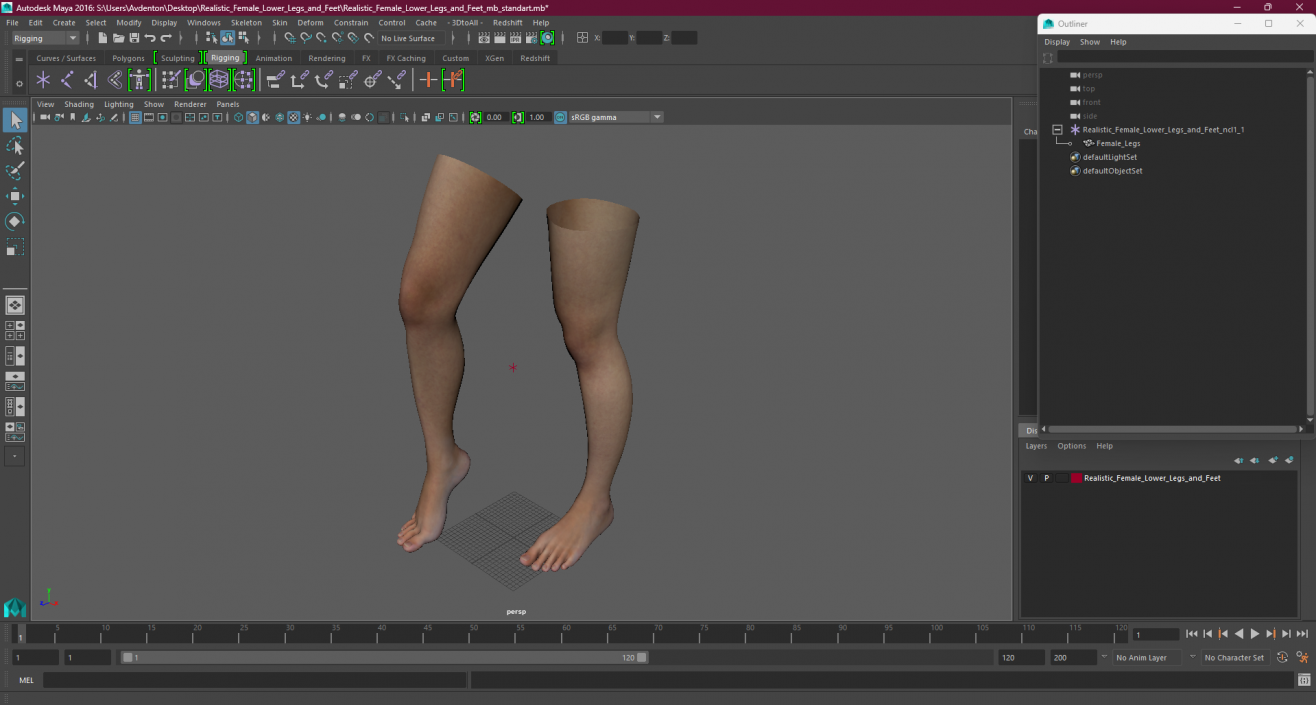 3D Realistic Female Lower Legs and Feet