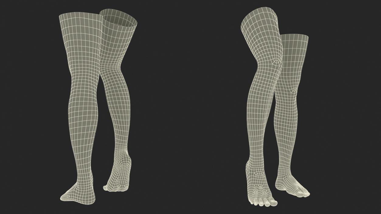 3D Realistic Female Lower Legs and Feet