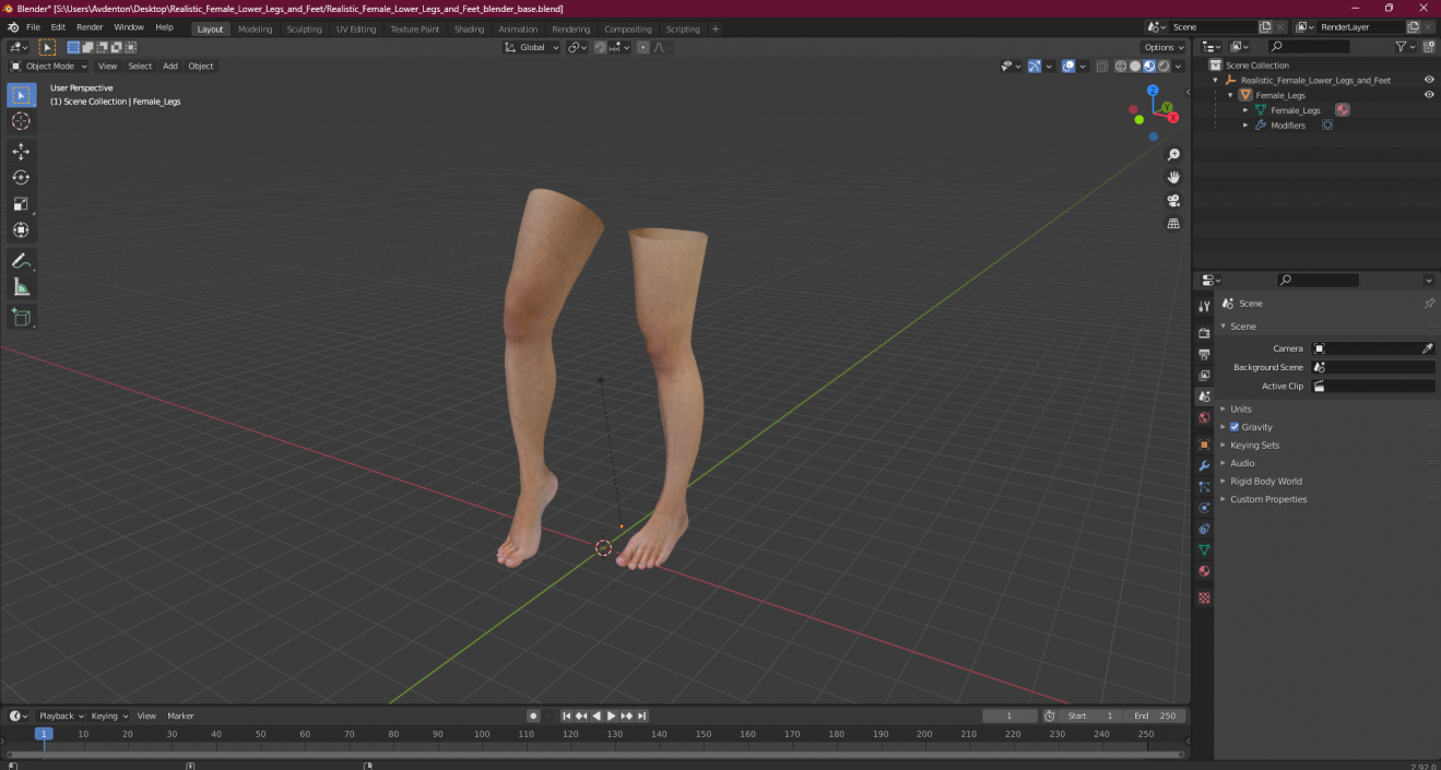 3D Realistic Female Lower Legs and Feet