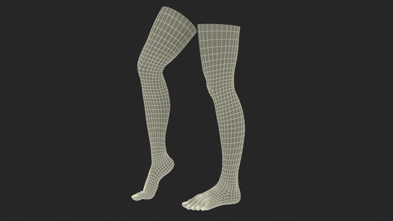 3D Realistic Female Lower Legs and Feet