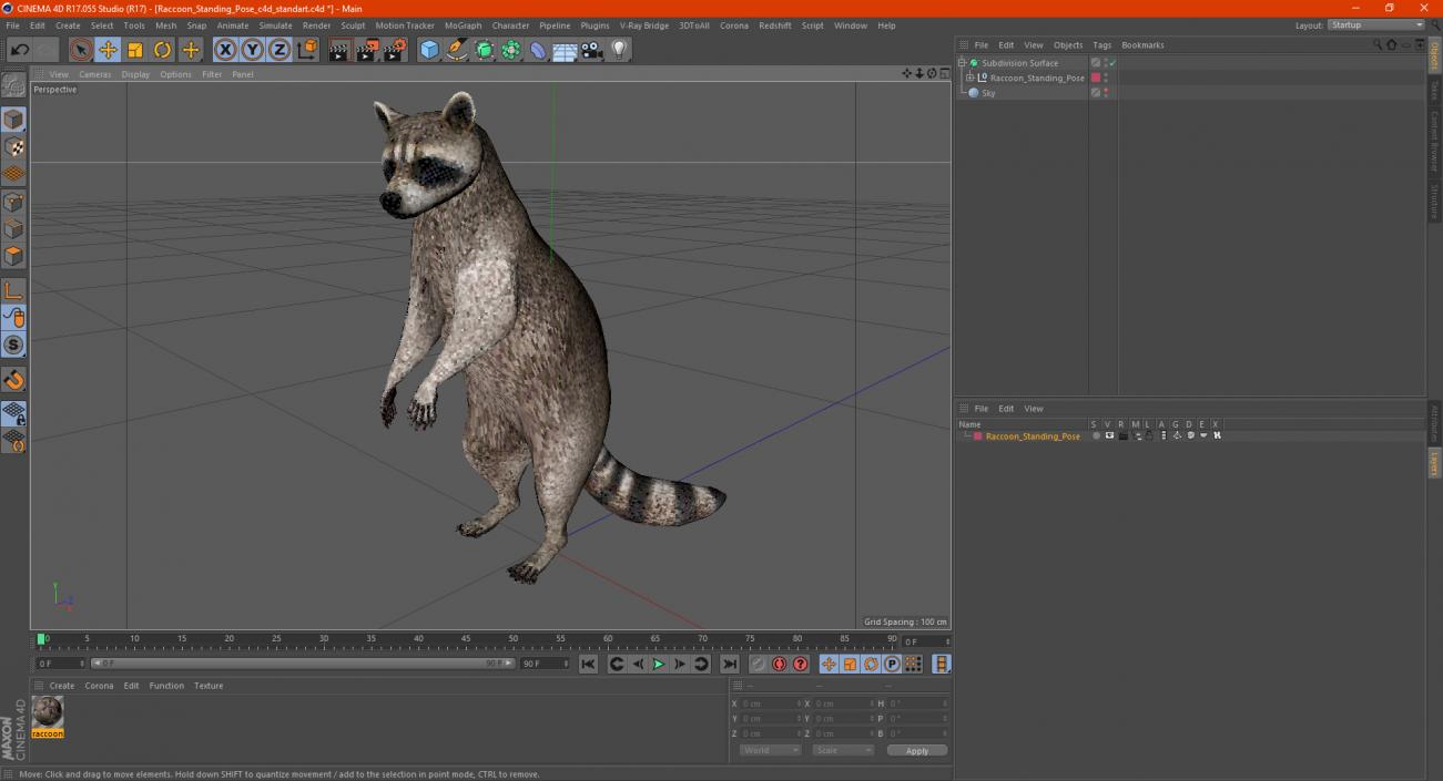 3D Raccoon Standing Pose