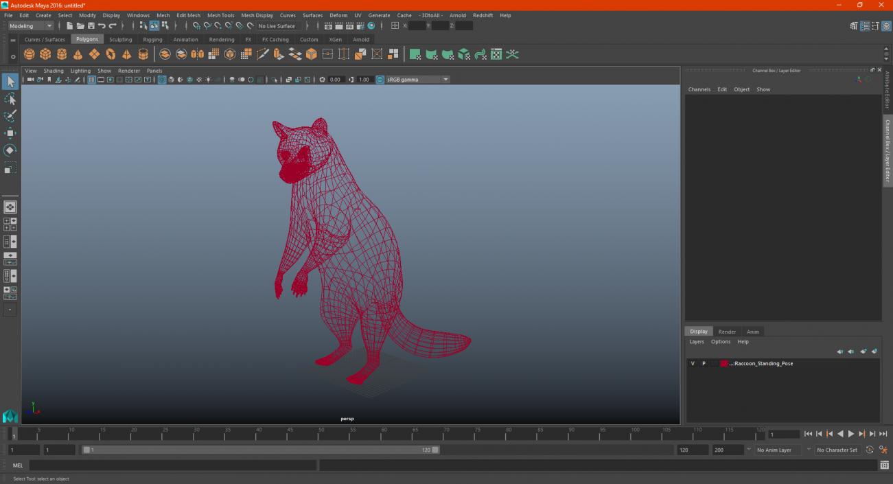 3D Raccoon Standing Pose