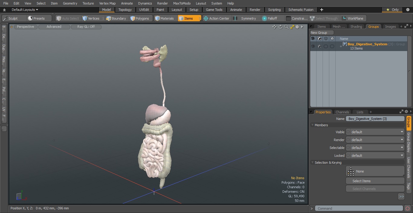 3D model Boy Digestive System