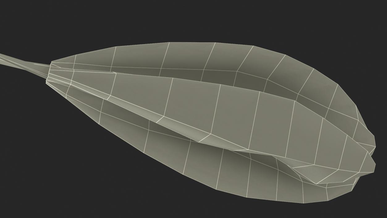 3D model Parafoil Parachute 2