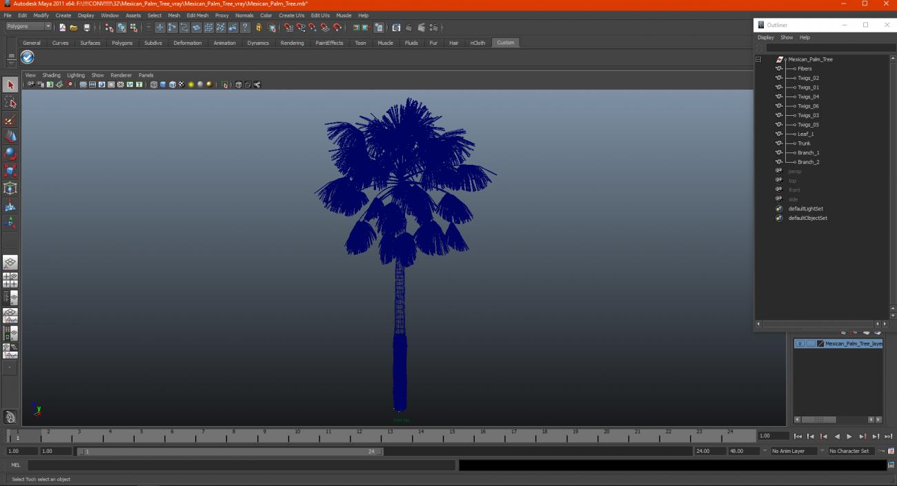 Mexican Palm Tree 3D