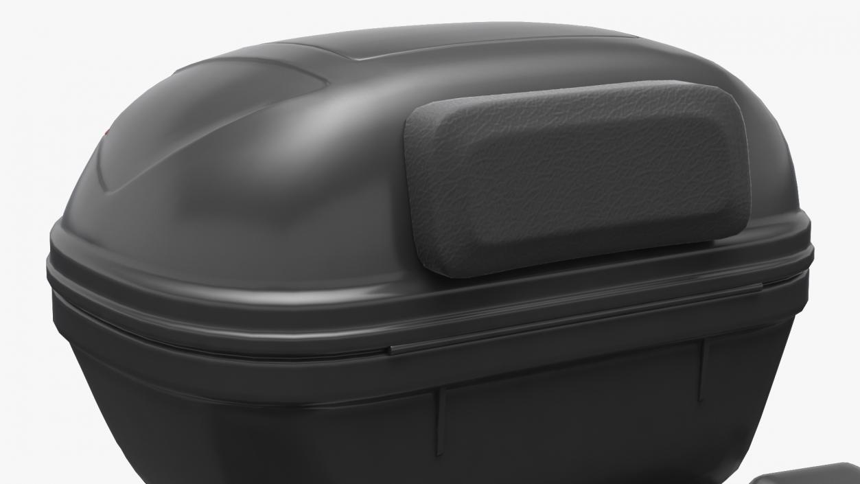 3D Pair Side Luggage Case Saddlebags model