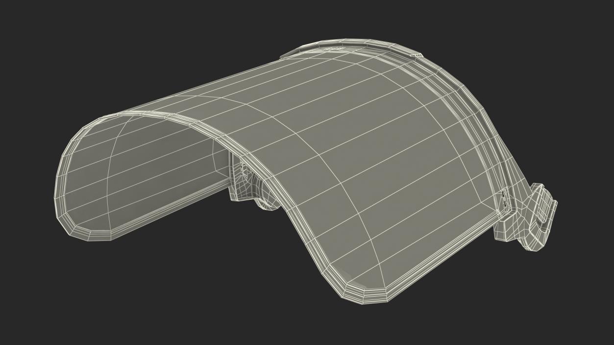 3D Mesh Shield