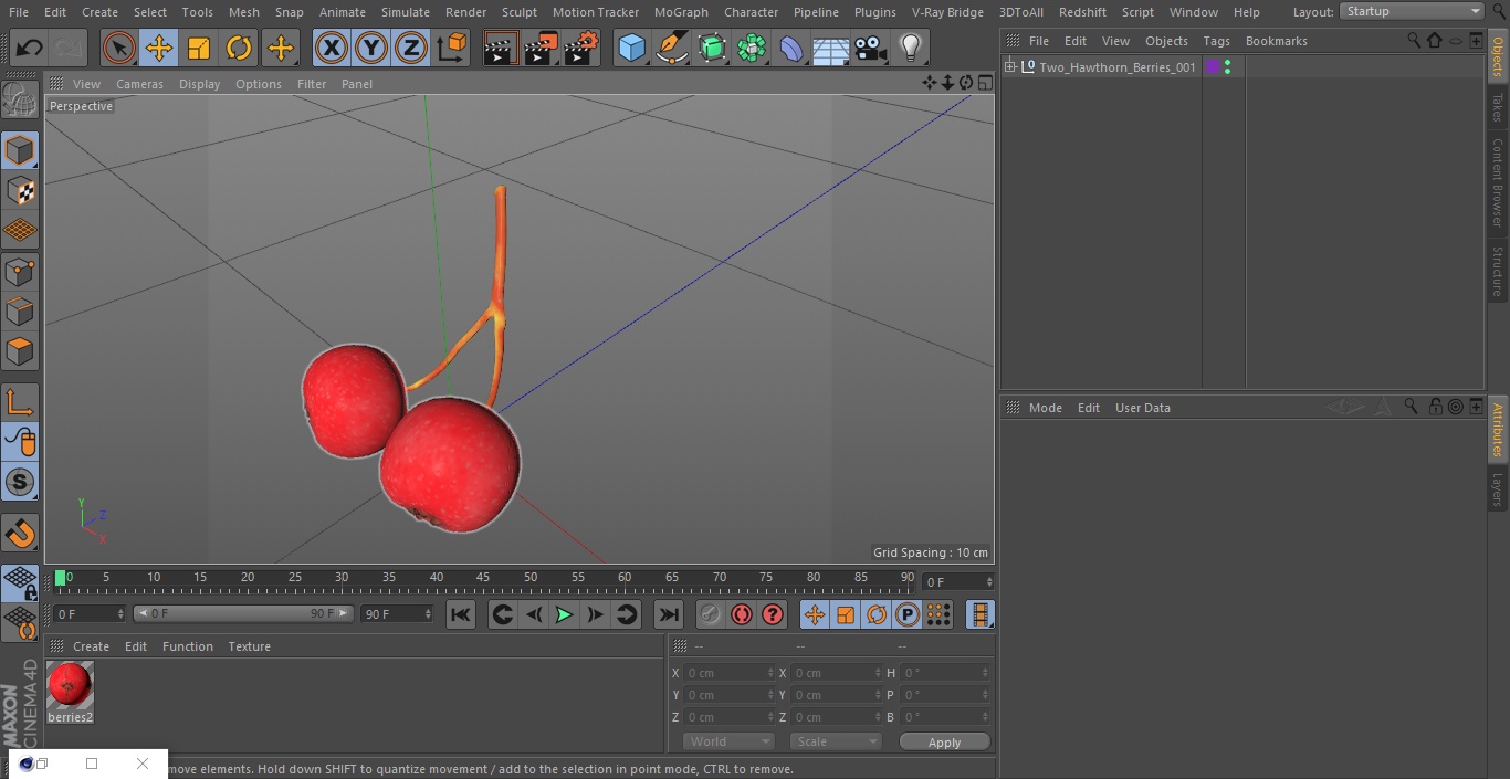 3D model Two Hawthorn Berries