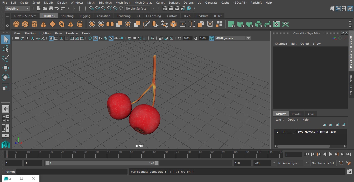 3D model Two Hawthorn Berries