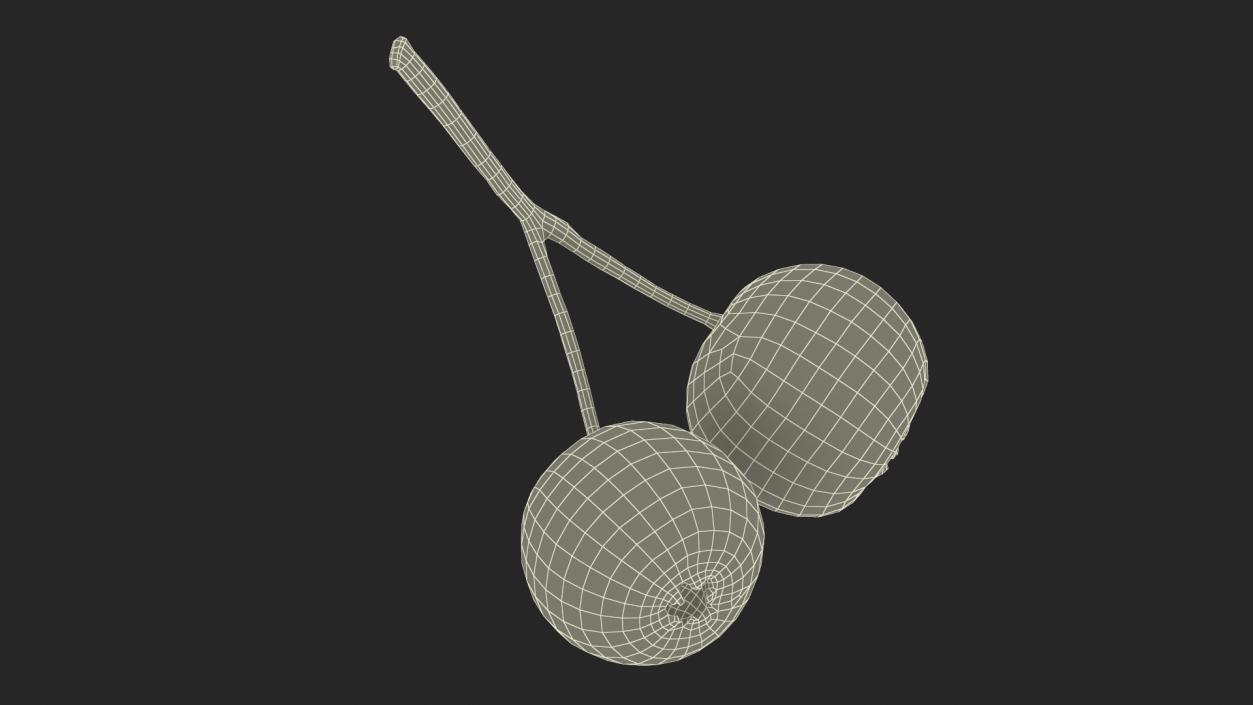 3D model Two Hawthorn Berries