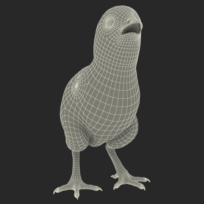 Chick 3D model