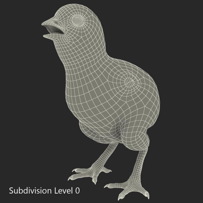 Chick 3D model