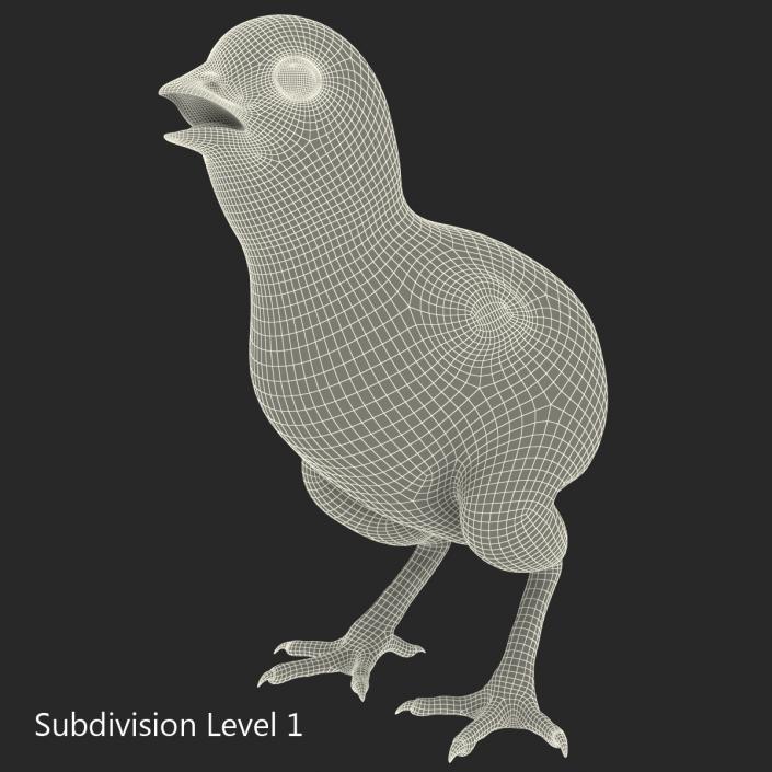 Chick 3D model