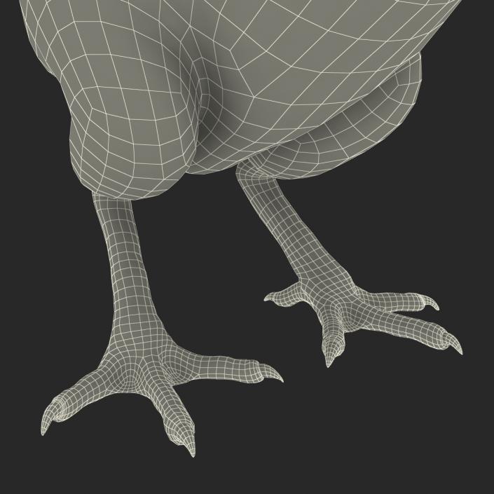 Chick 3D model