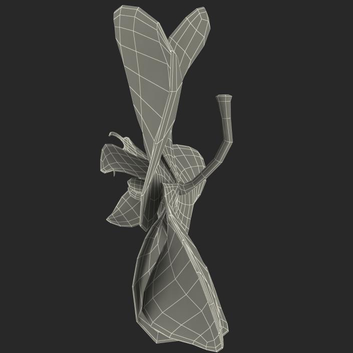 3D Orchid Flower model