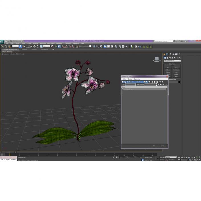 3D model Orchid 2