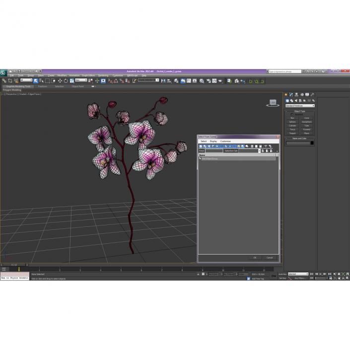 3D model Orchid 3