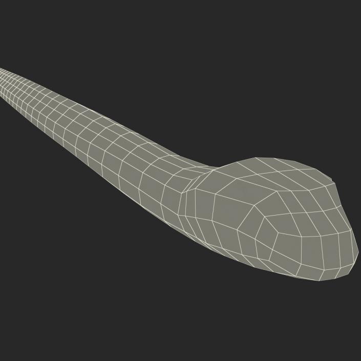 3D Snake Elaphe Dione model