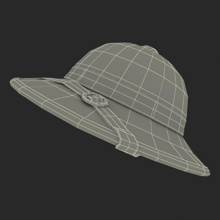 3D Pith Helmet