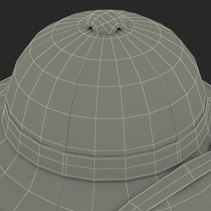 3D Pith Helmet