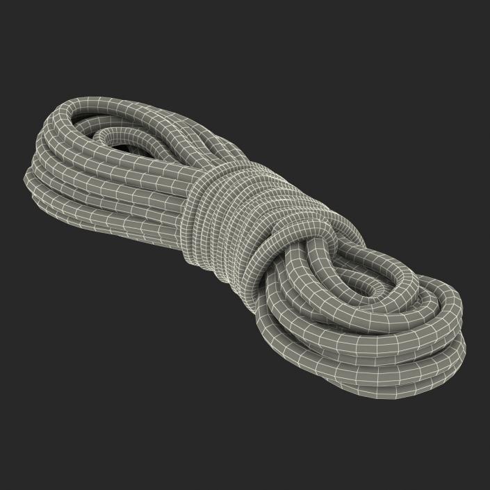 Rock Climbing Rope Red 3D