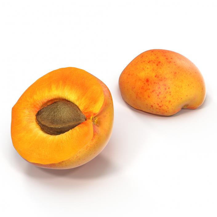 3D Apricot Cross Section