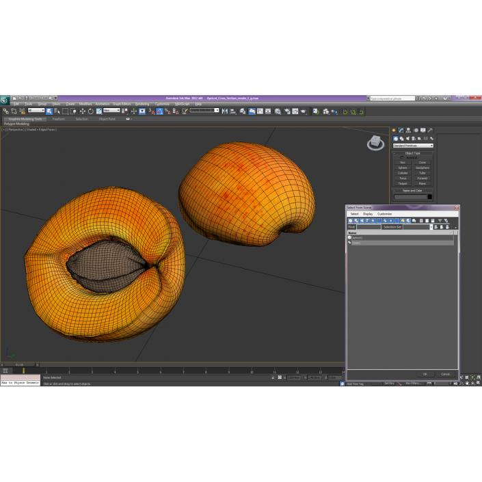 3D Apricot Cross Section