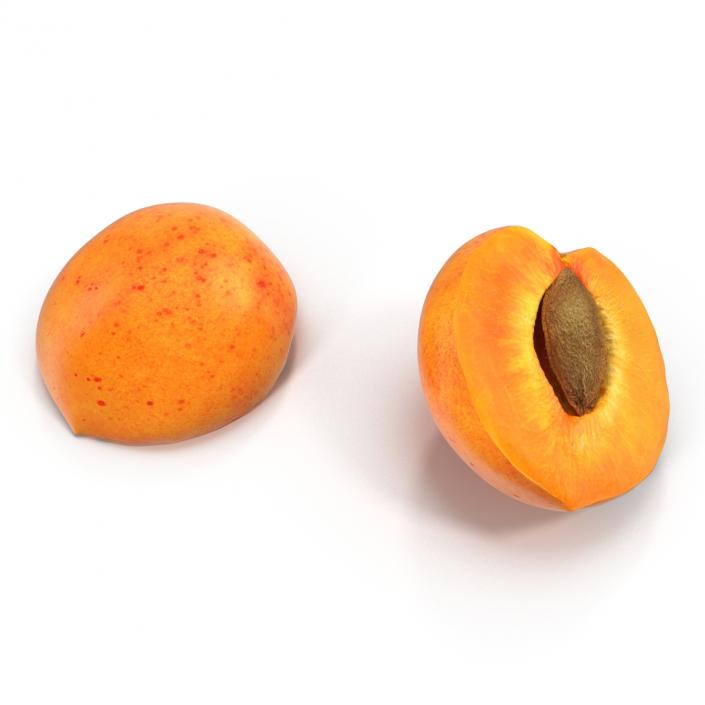 3D Apricot Cross Section