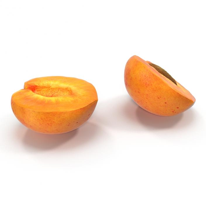 3D Apricot Cross Section