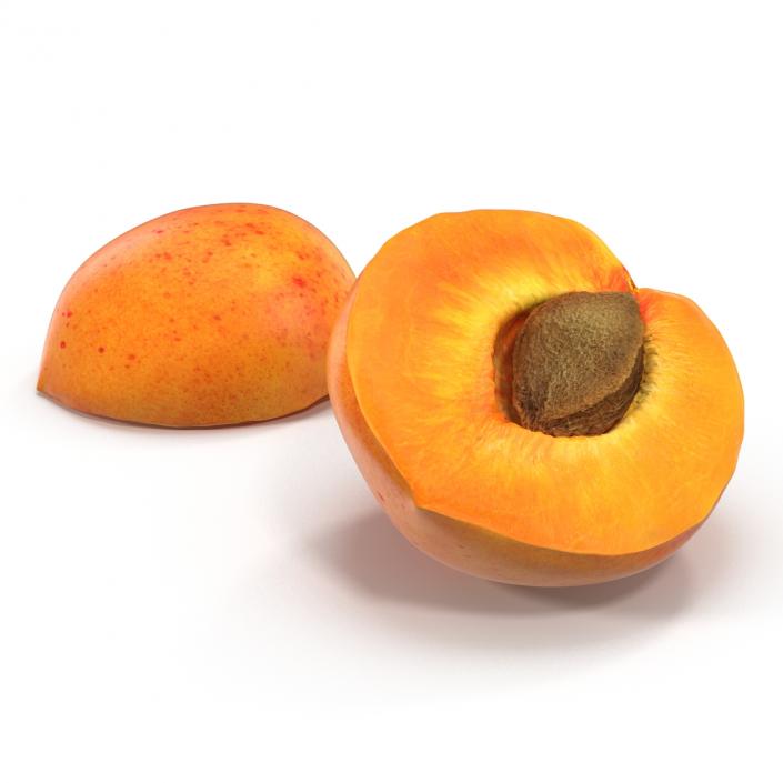 3D Apricot Cross Section