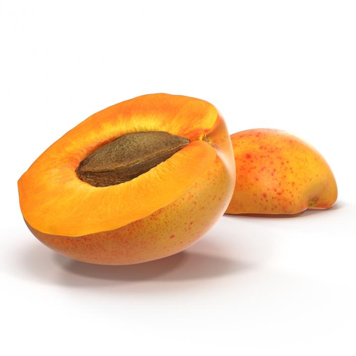 3D Apricot Cross Section