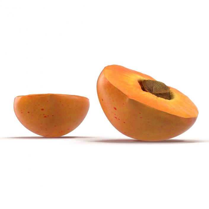 3D Apricot Cross Section