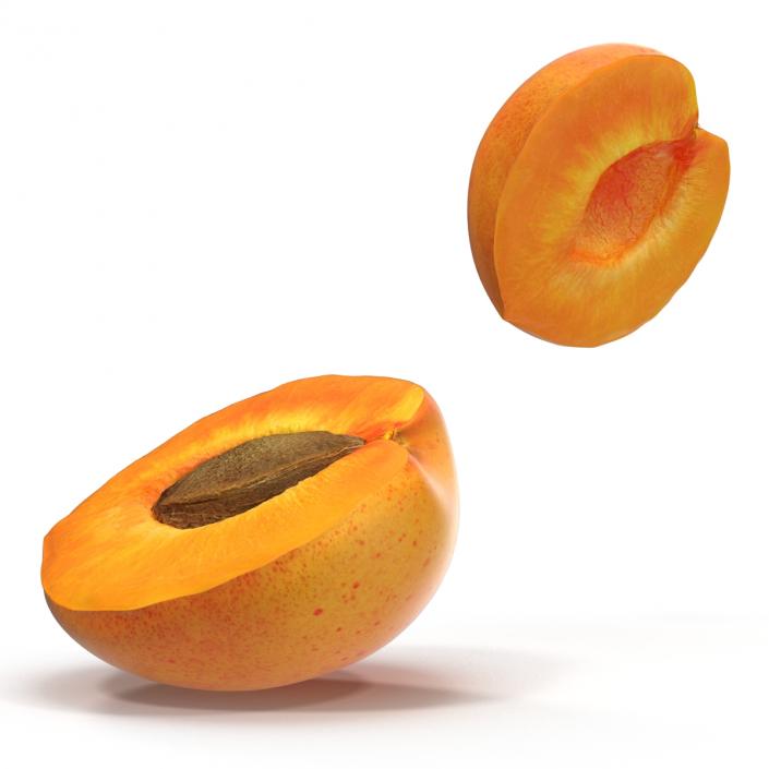 3D Apricot Cross Section