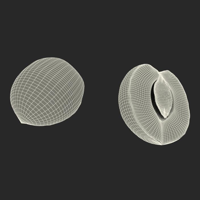 3D Apricot Cross Section