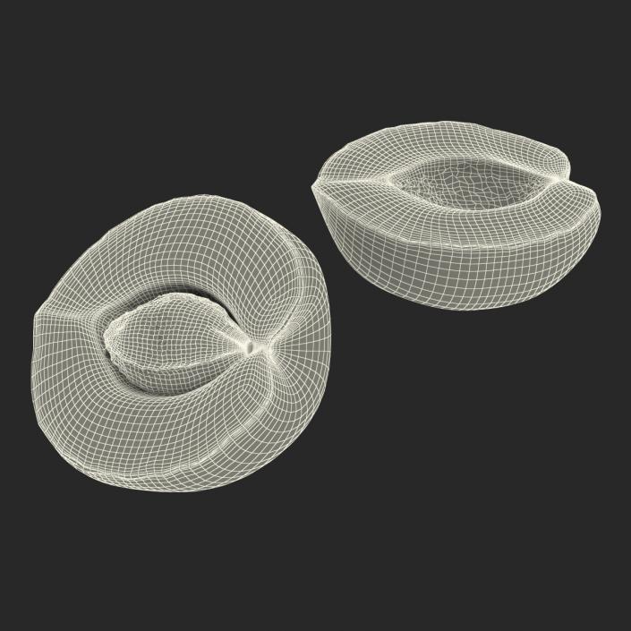 3D Apricot Cross Section