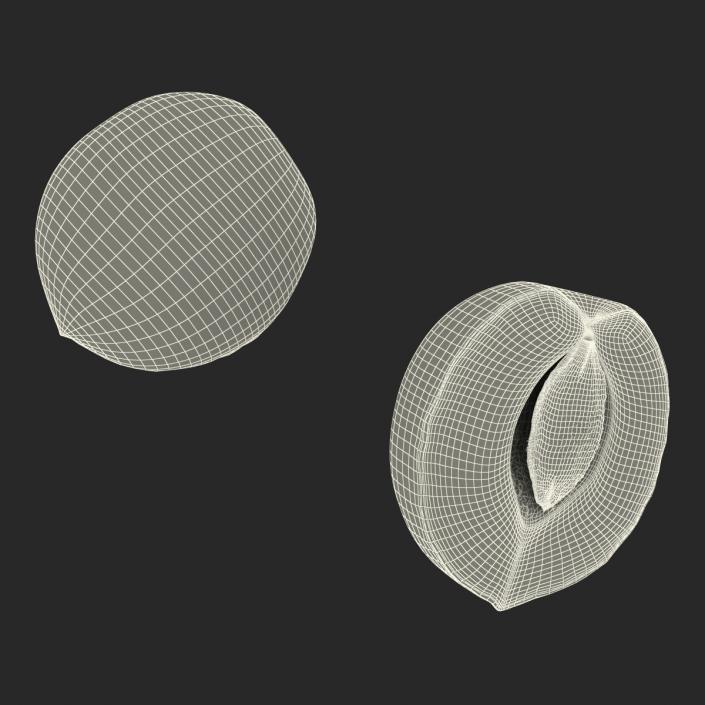 3D Apricot Cross Section