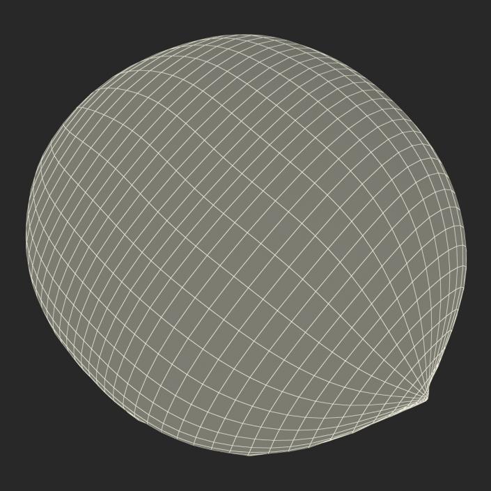 3D Apricot Cross Section