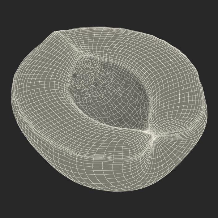 3D Apricot Cross Section