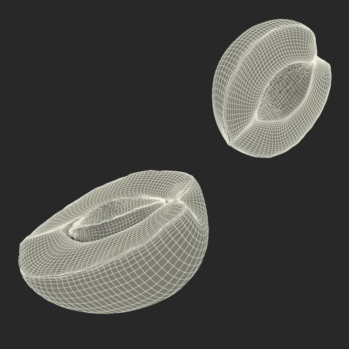 3D Apricot Cross Section