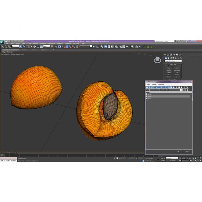 3D Apricot Cross Section 2 model