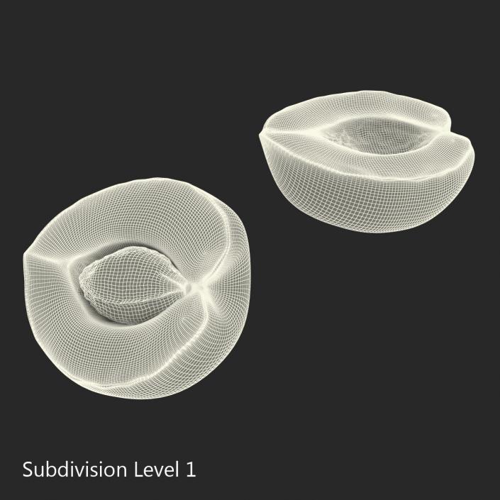 3D Apricot Cross Section 2 model