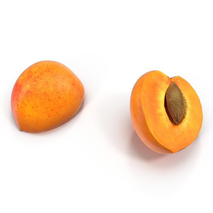 3D Apricot Cross Section 2 model