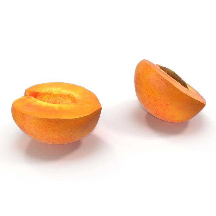 3D Apricot Cross Section 2 model