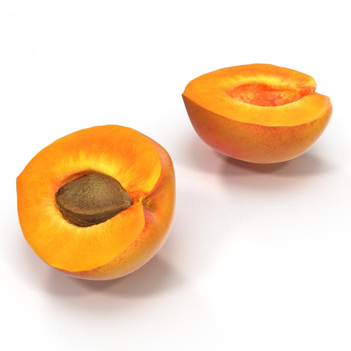 3D Apricot Cross Section 2 model