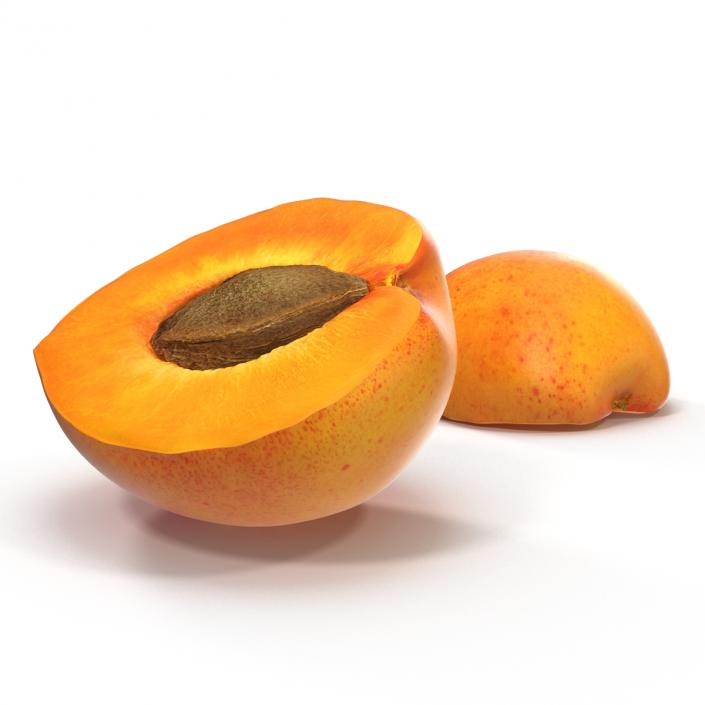 3D Apricot Cross Section 2 model