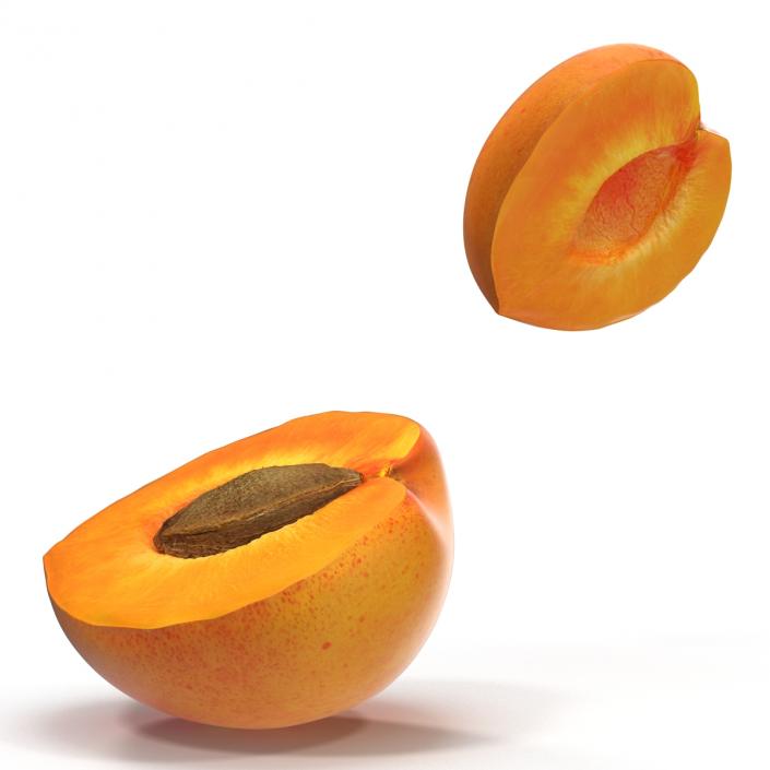 3D Apricot Cross Section 2 model