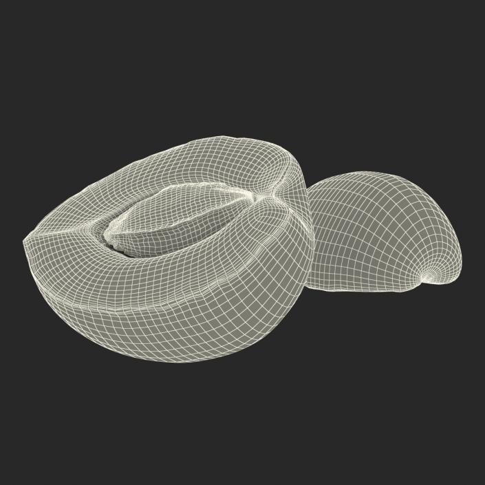 3D Apricot Cross Section 2 model